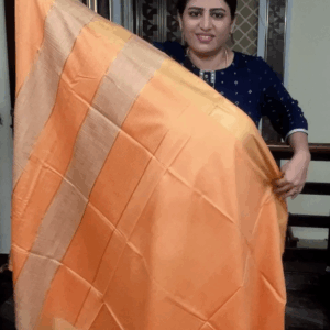 Orange warm silk saree
