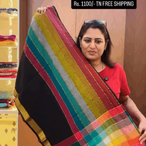 Black rainbow saree - zari finish